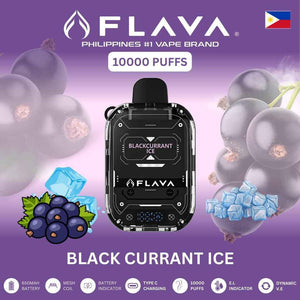 FLAVA Nimmbox 10000 Puffs Disposable Device - black-currant-ice