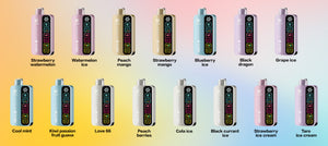 Silvaper Ice Control 40000 Puffs Disposable Device.